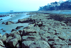 Bembridge shore